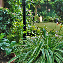 LANW BOOST COMPOST - Products
