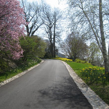 roads
