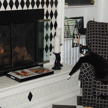 FIREPLACE VISION!