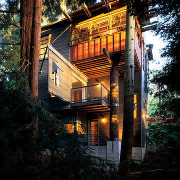 Treehouse in Berkeley