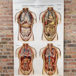 Vintage Posters - Home Decor
