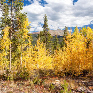 314 Peerless - SHOCK HILL - Breckenridge, Colorado