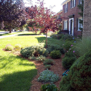 Dwarf Alberta Spruce Landscaping Ideas | Houzz