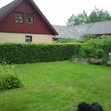 Köksträdgård
