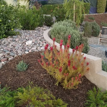 Front Yard Transformation
