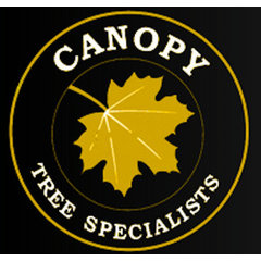 Canopy Tree Specialists