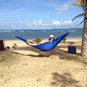 Amy Parlane de Lindner's photo