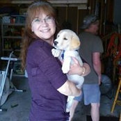 Susan Baber's photo