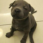 Foto di Zay Lin