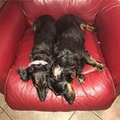 Nancy Grantier Bartholomew's photo