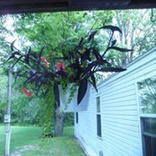 Lorenda Misner's photo