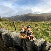Olga Shen's photo