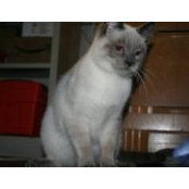 Petey Pete's photo