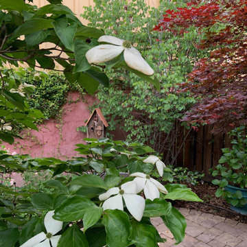 Cottage style backyard courtyard