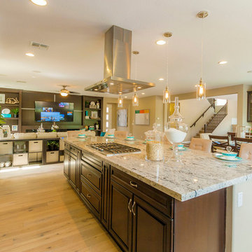 Inspire @ Marbella Vineyards | Gilbert, AZ | 4594 - Excite Plan