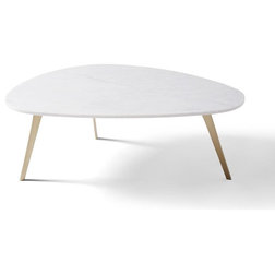 Midcentury Coffee Tables by Houzz