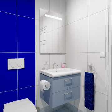 Modern Bathroom Project
