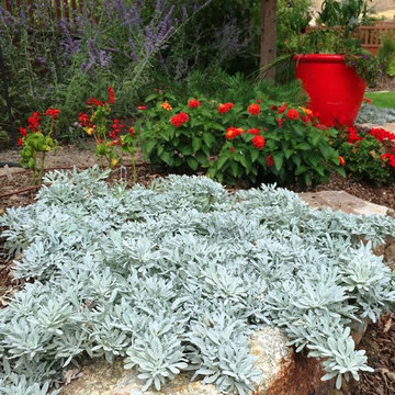 Warm Springs Project