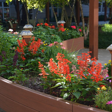 ASSISTED LIVING HERB GARDEN