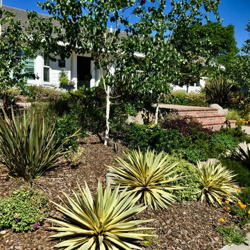 Who needs a frontlawn.