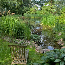 pond