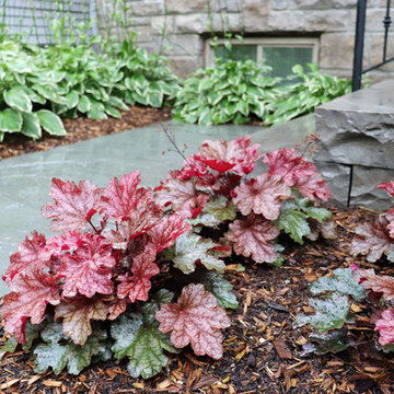 Bloor West Village Front Yard Makeover