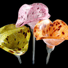joanne_g_mann's ideas