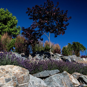 Cliffside Paradise