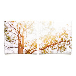Beneath a tree Artwork - Prints And Posters