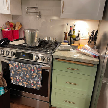 Kitchen Remodel 2024 Oakland/ white and light green