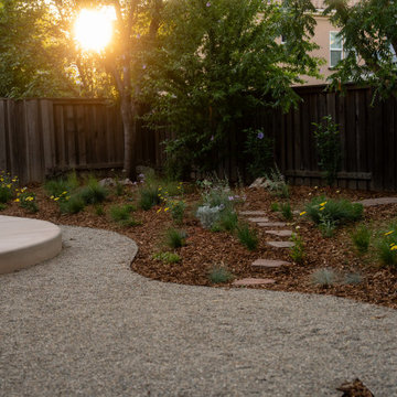 Evening Glow Over Patio and Meadow