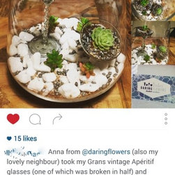 Specia projects - custom made terrariums - Products