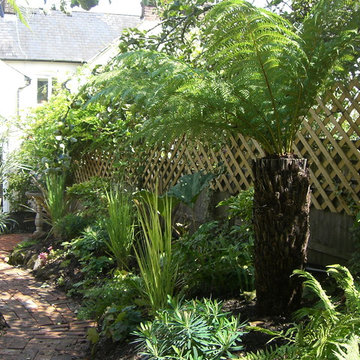 Secluded exotic garden