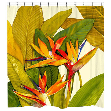 Laural Home Tropical Bird of Paradise Shower Curtain