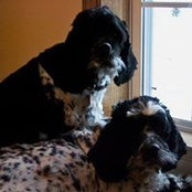 Bryan Kell's photo