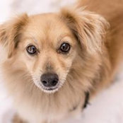 Avery Campbell's photo