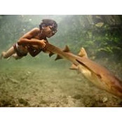 Graham Dall's photo