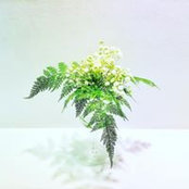 Trunguyen Le's photo