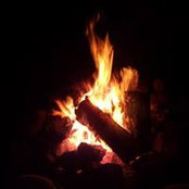 Dan Moll's photo