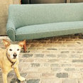 7 Upholstery Ltd's profile photo