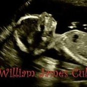Ginger Williamss billede