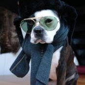Foto di Swatch Sauma