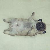 Magda H's photo