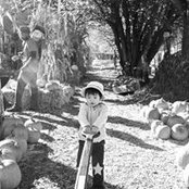 Andrew Ho's photo