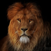 Donnie Knowles's photo