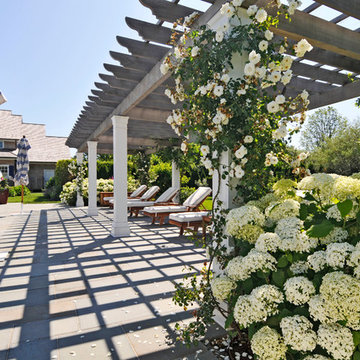 Classic Hamptons