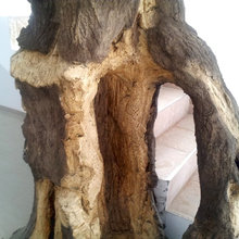 WOOD CONCRETE