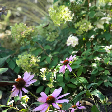 Bungalow Garden Through the Seasons
