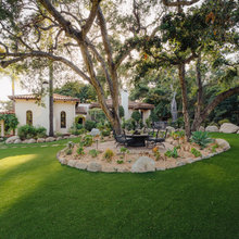 Front yard