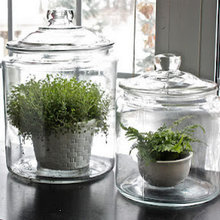 Summerveld Design Elements